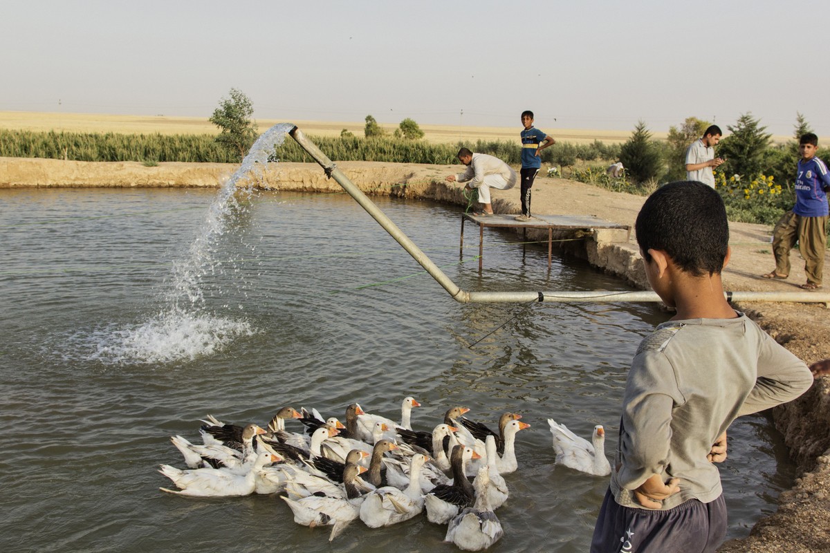 Dan Iraq tron phien quan IS trong trai ga cua nguoi Kurd-Hinh-10